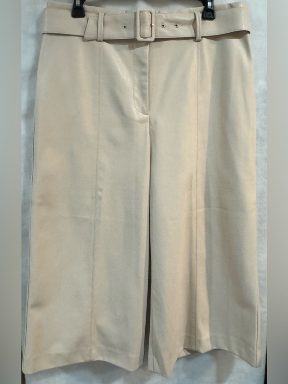 Ann Taylor Petite Light Cream Leather-Trim Skirt